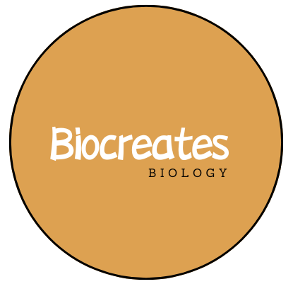 biocreates